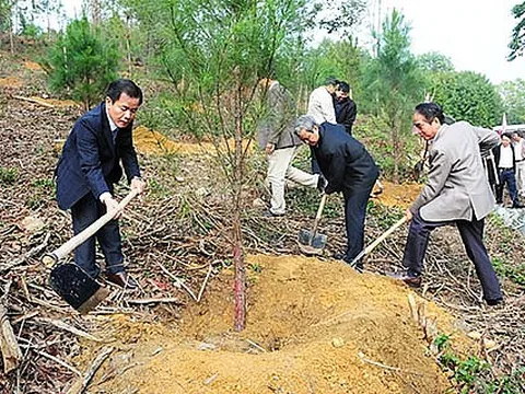Thừa Thiên - Huế: Phát động 'Tết trồng cây đời đời nhớ ơn Bác Hồ' đầu xuân Canh Tý